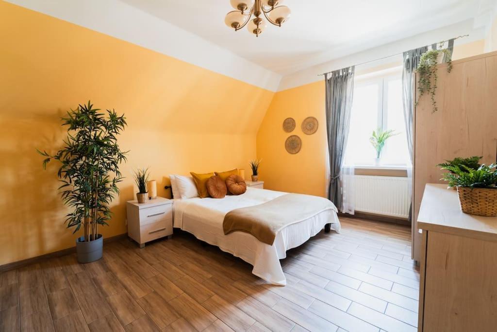 Market Square - Street Rynek 24 -2 Rooms Wroclaw Exterior photo